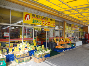 新郊通店