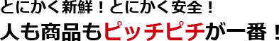 とにかく新鮮！とにかく安全！人も商品もピッチピチが一番！