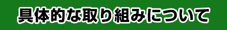 具体的な取り組みについて